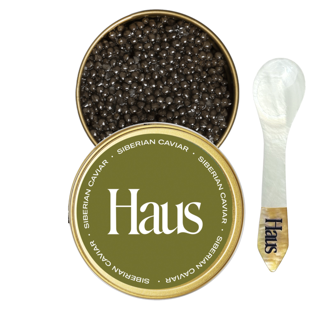 https://drink.haus/cdn/shop/files/H1-spoon_1.png?v=1702919911